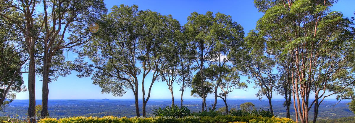 Peter Bellingham Photography View near Poets Cafe - Montville - QLD (PB5D 00 U3A5794)